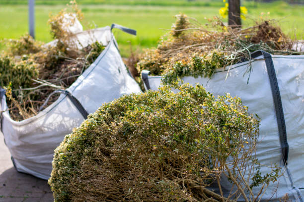 Best Commercial Cleanout Services  in Candlewick Lake, IL